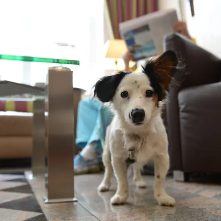 호텔 Fruehlings-hotel 브라운슈바이크