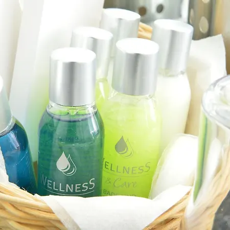 Fruehlings-hotel 호텔 브라운슈바이크