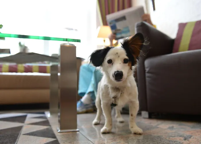 Szálloda Fruehlings-hotel Braunschweig